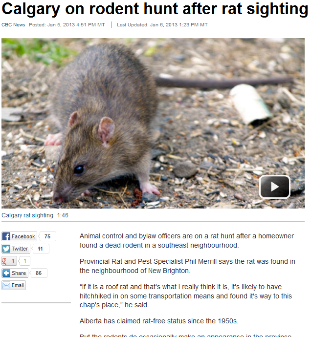https://www.skedaddlewildlife.com/wp-content/uploads/2013/09/The-Difficult-Task-of-Thoroughly-Getting-Rid-of-Rodents.png