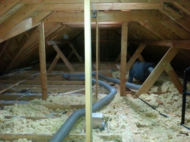 Removing soiled insulation from an attic contaminated by raccoon latrines