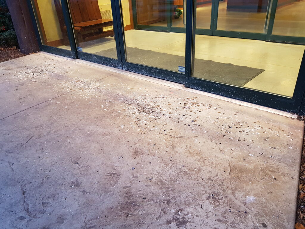 Pigeon droppings can help make stores and restaurants less attractive to customers