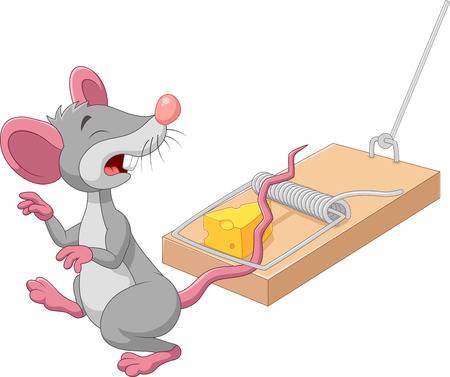 Mouse, Rat Trap is Cruel