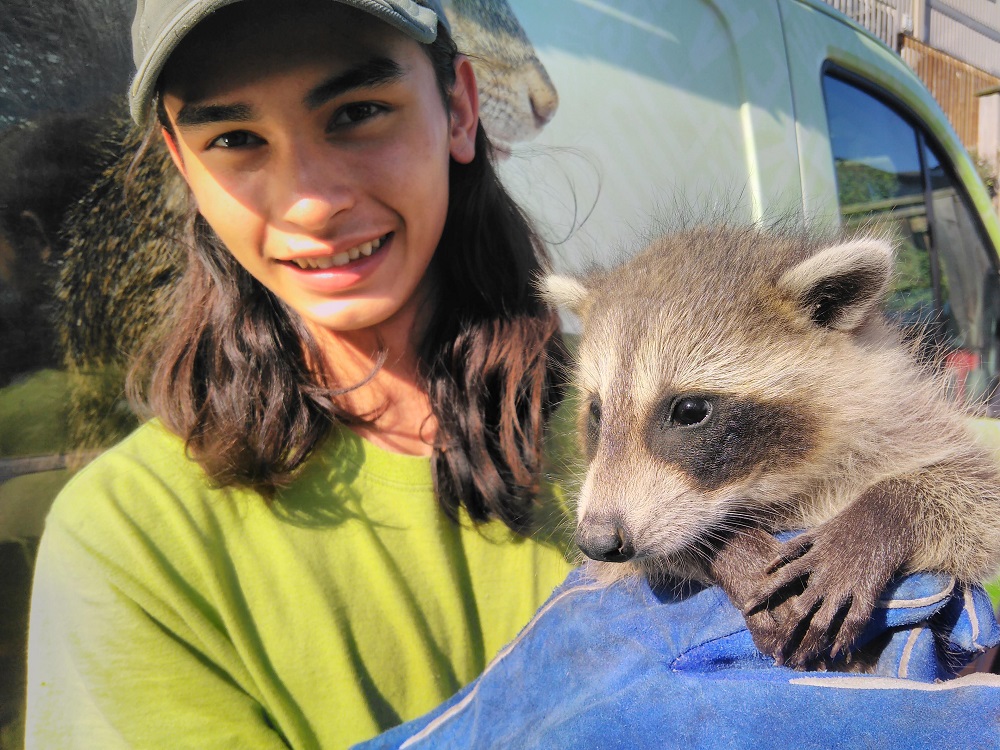 Technician with Baby Raccoon