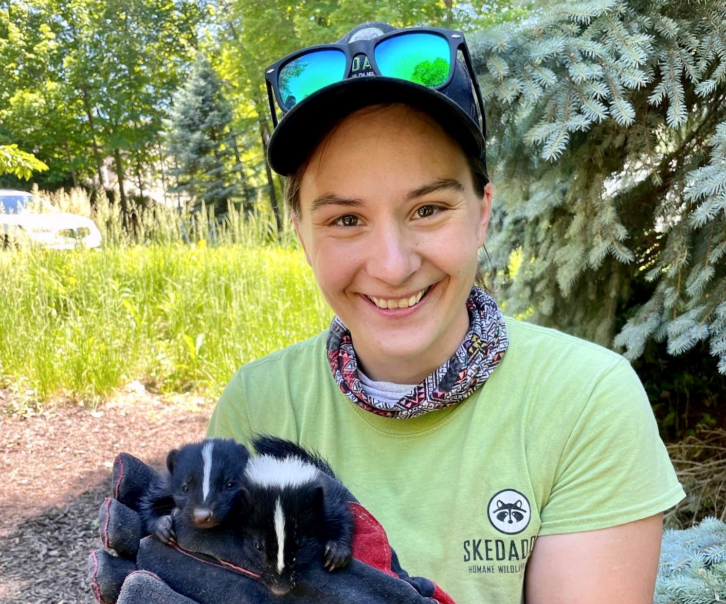 Skunk Removal Ajax