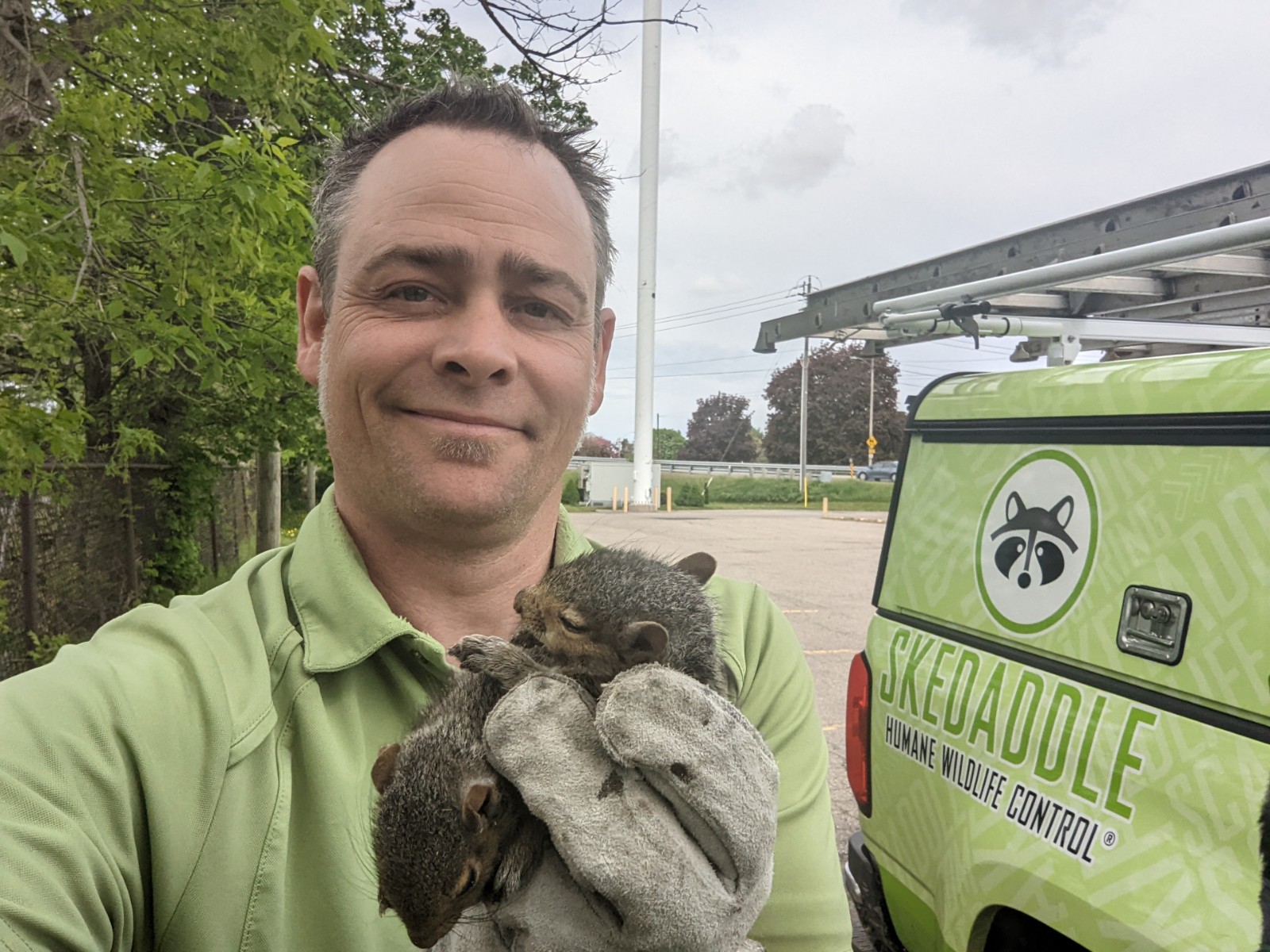 Squirrel Removal Calvert County