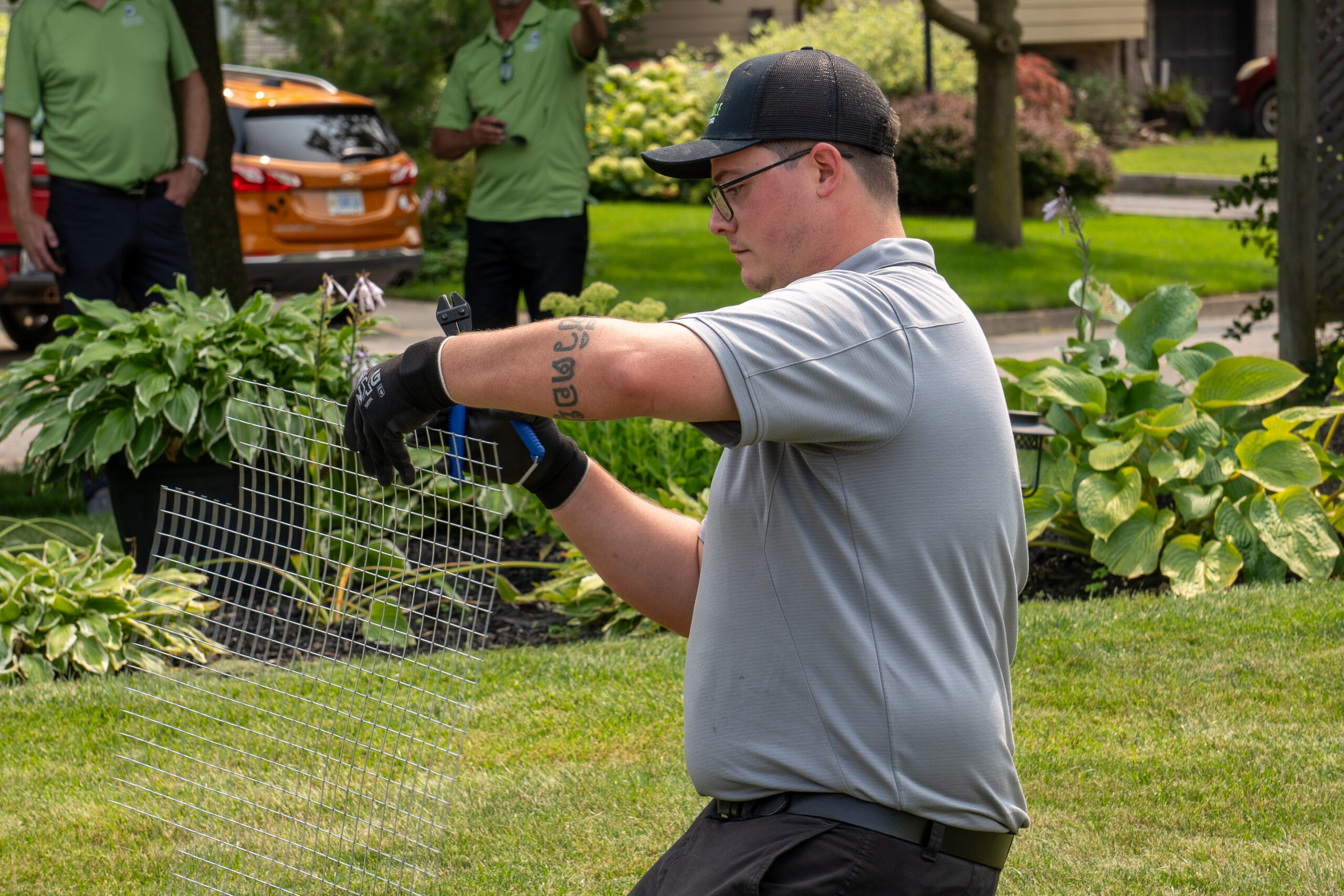 Wildlife Removal Kitchener