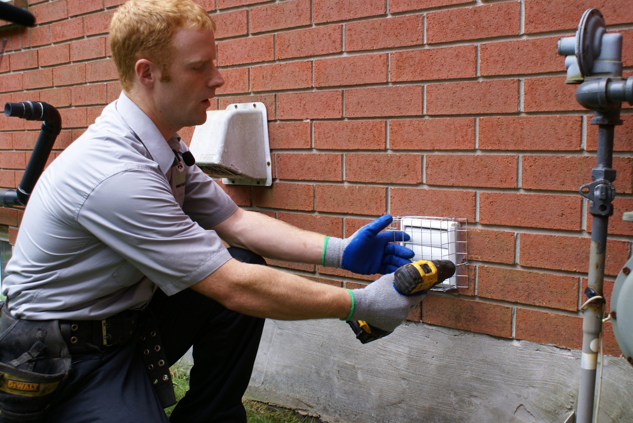 Squirrel Removal Ottawa