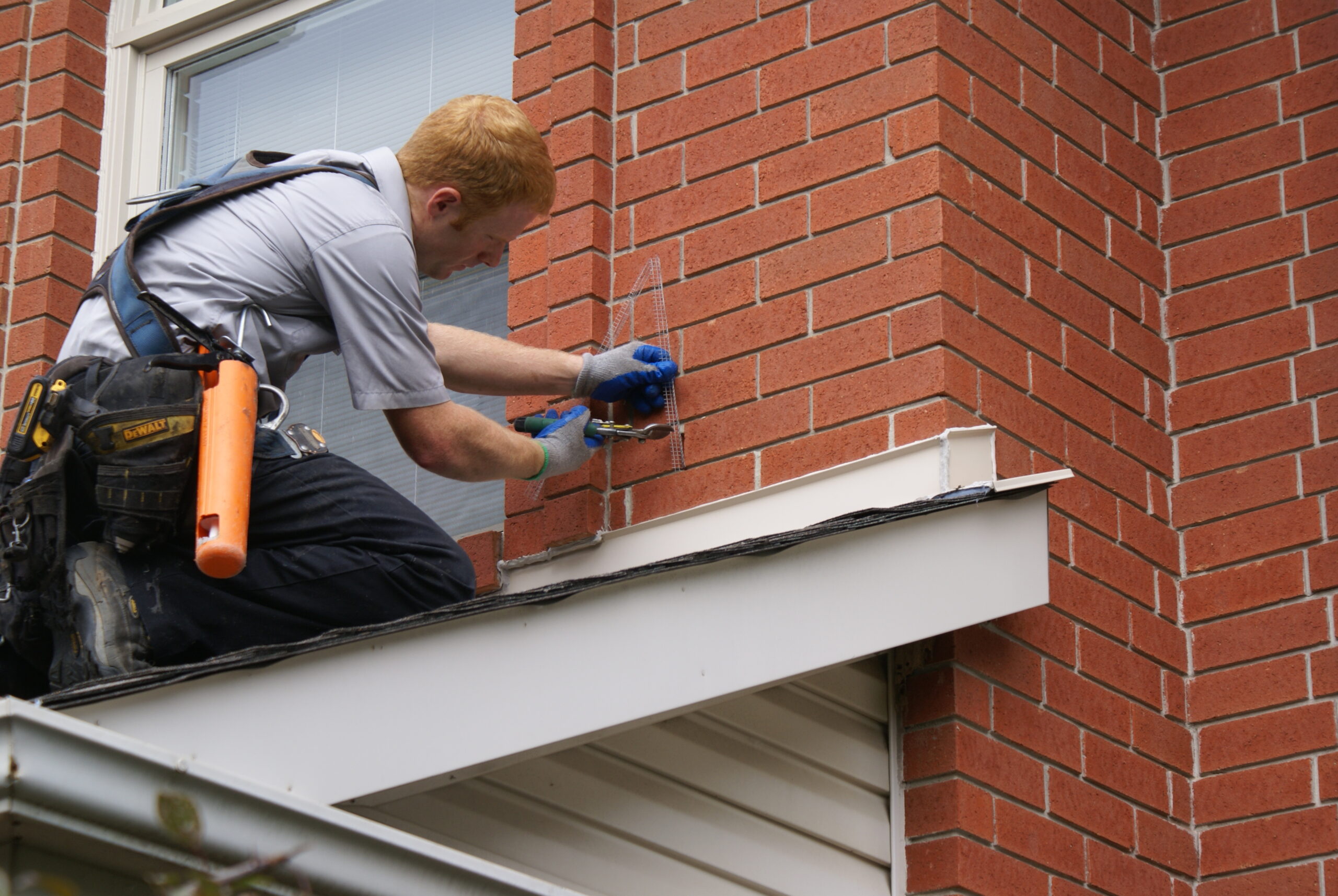 Mice Removal Anoka County