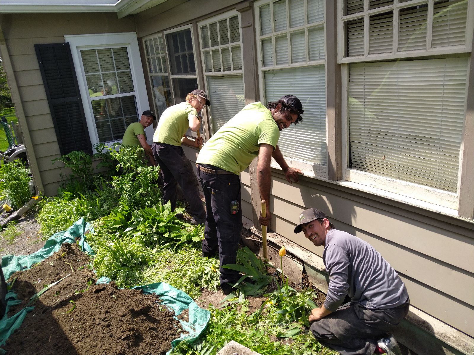 Skunk Removal Montreal