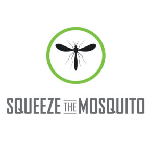 mosquito