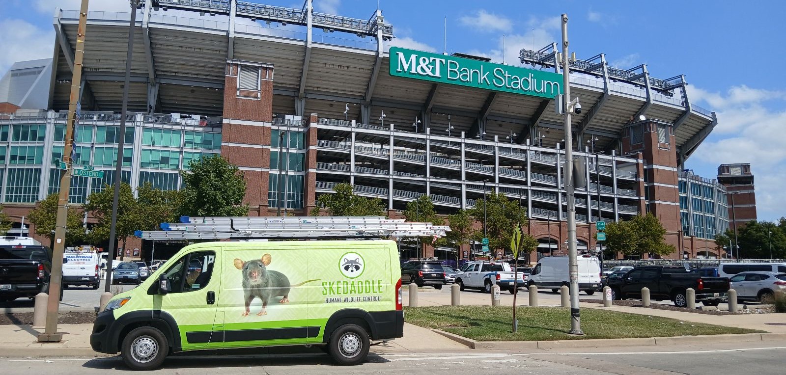 Van in front of M&T Bank Stadium baseball stadium Baltimore Skedaddle Humane Wildlife Control September, 2024 (1)