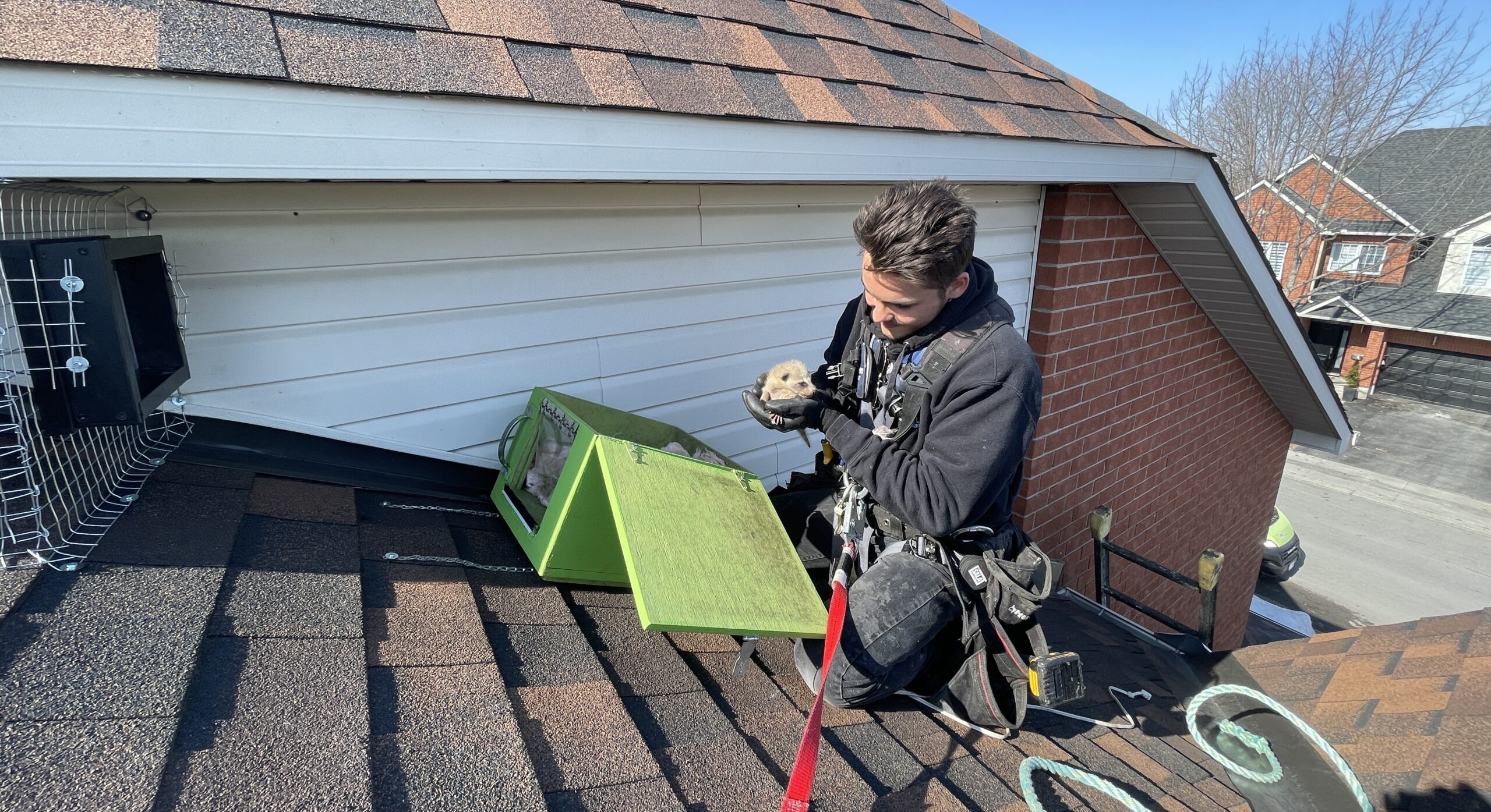 Howard County Wildlife Technician on Roof