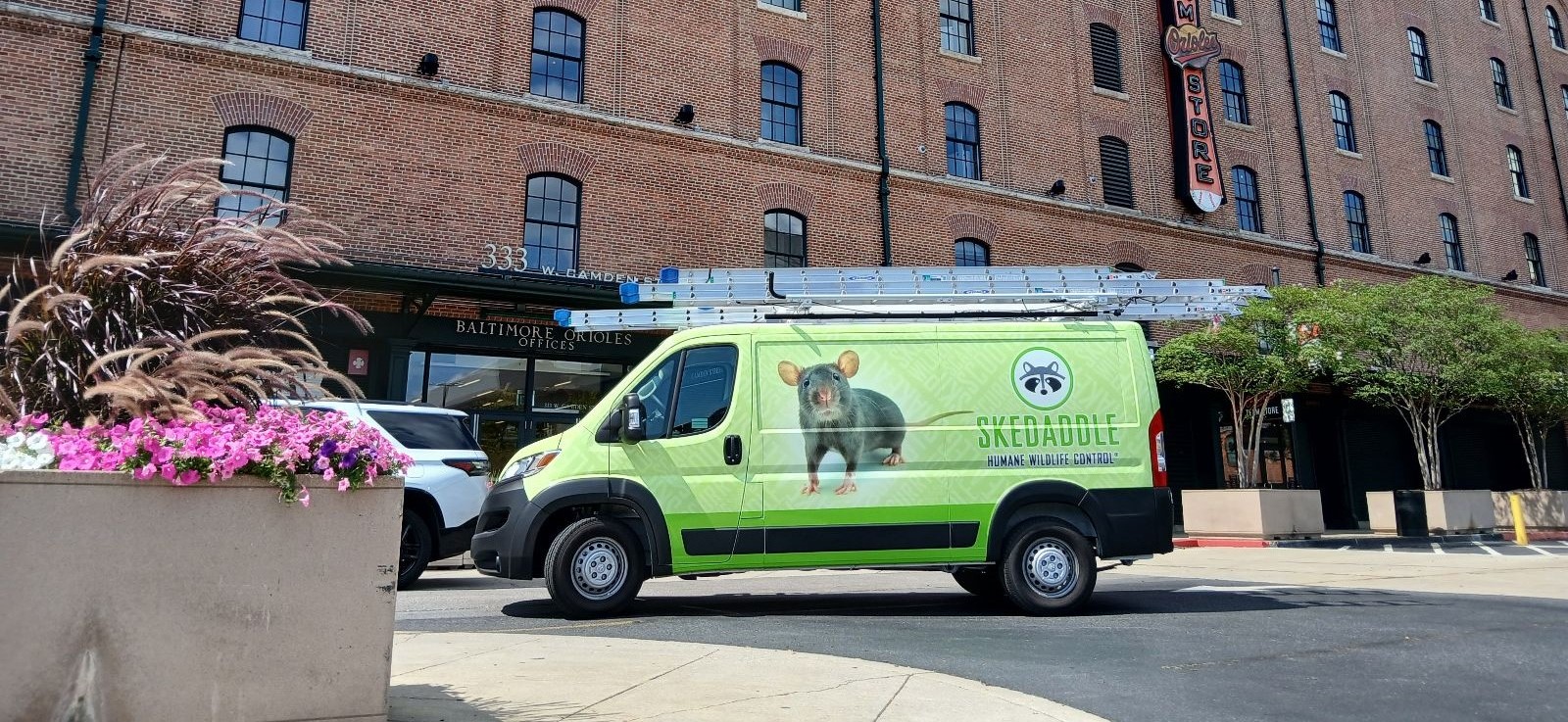 Truck in front of M&T Bank Stadium baseball stadium 4 Baltimore Skedaddle Humane Wildlife Control September, 2024 (1)