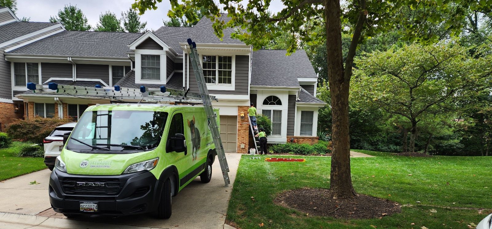 van in driveway with technicians woking in the background 2 Baltimore Skedaddle Humane Wildlife Control August, 2024 (1)