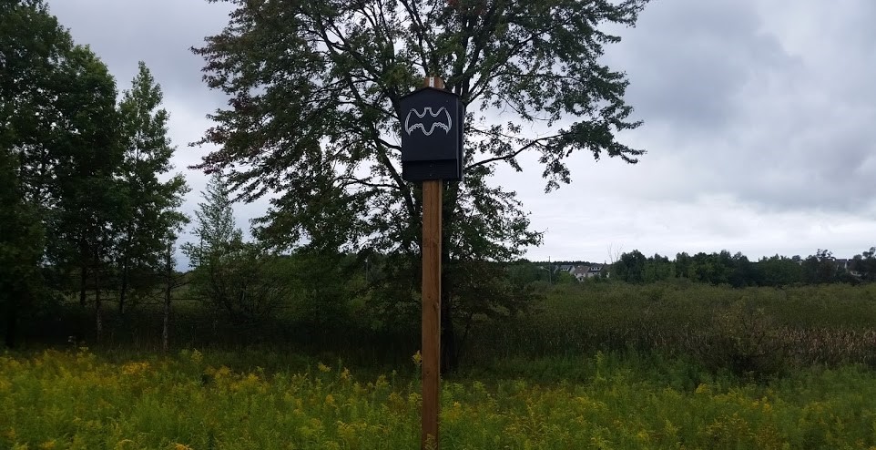 Guelph Wildlife Control - Are Bat Houses Beneficial In The Winter